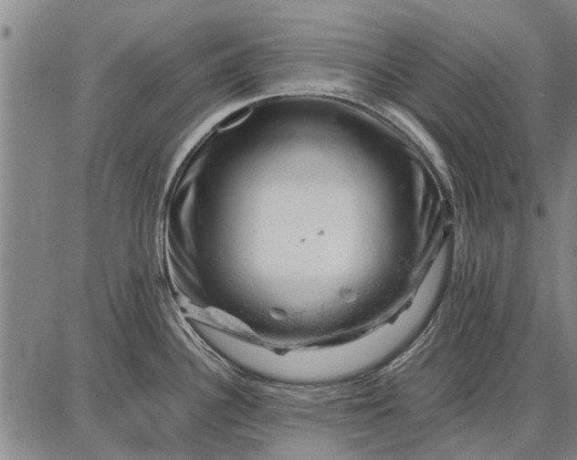 X0000087671340200705181655