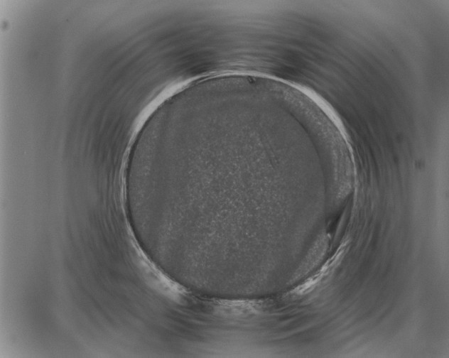 X0000087671341200705181655