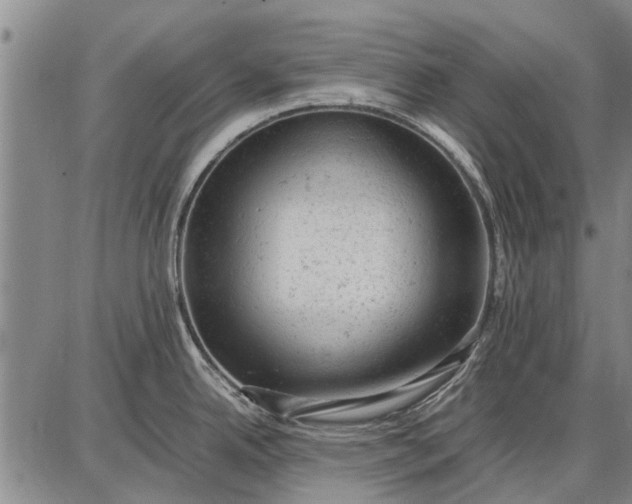 X0000087671342200705181655