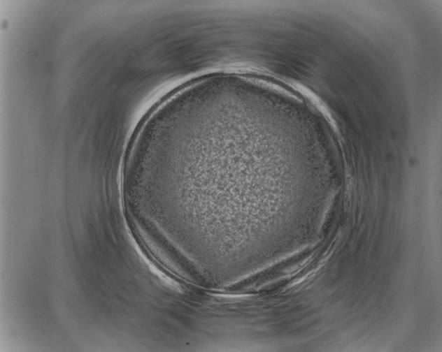 X0000087671343200705181655