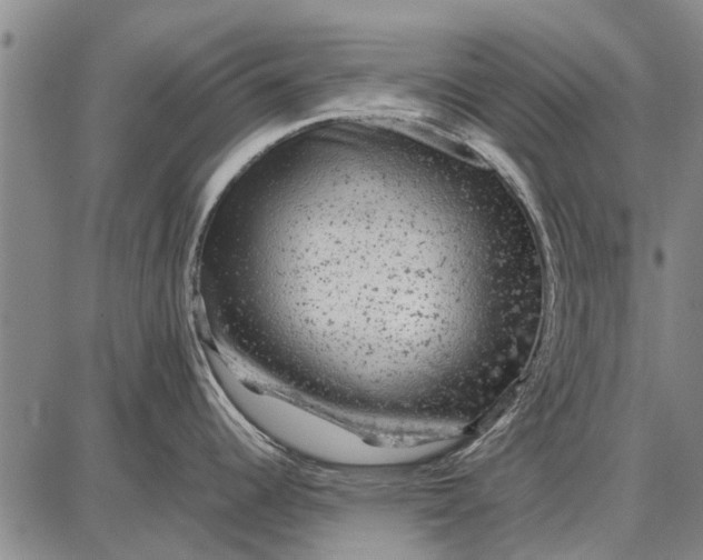 X0000087671344200705181655