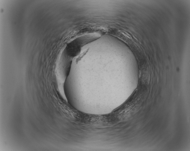 X0000087671345200705181654