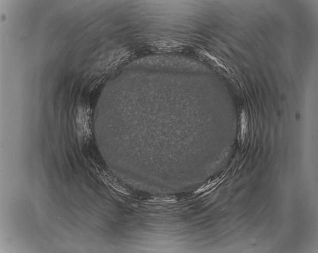 X0000087671346200705181654