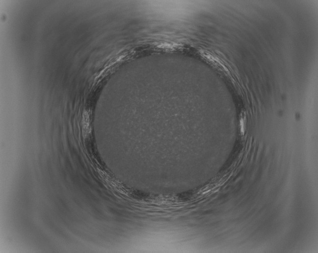 X0000087671347200705181654