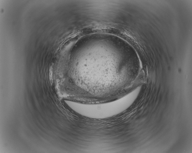 X0000087671348200705181654