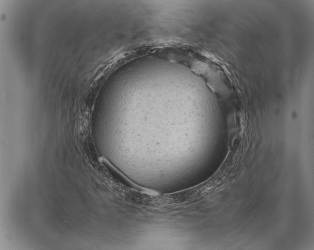 X0000087671349200705181654