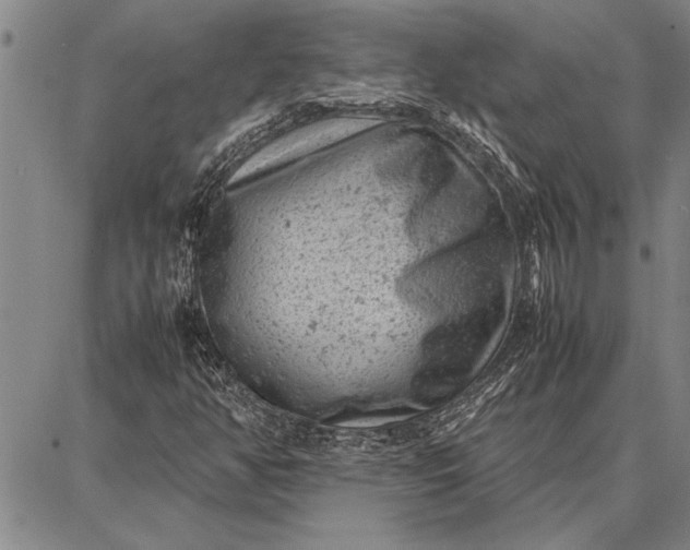 X0000087671350200705181654