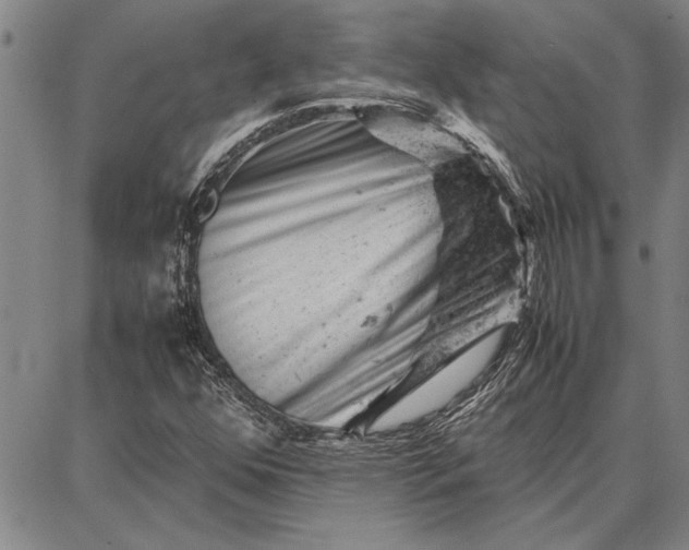 X0000087671352200705181654