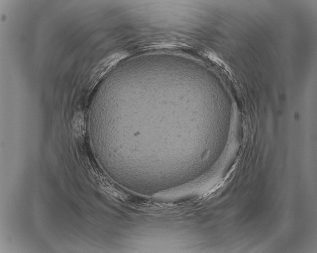 X0000087671353200705181654