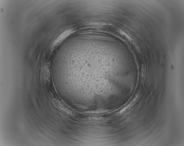 X0000087671354200705181654