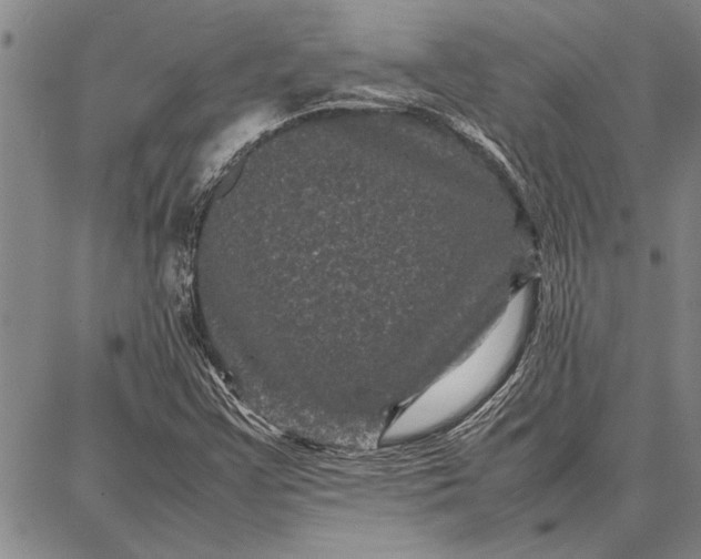 X0000087671355200705181654