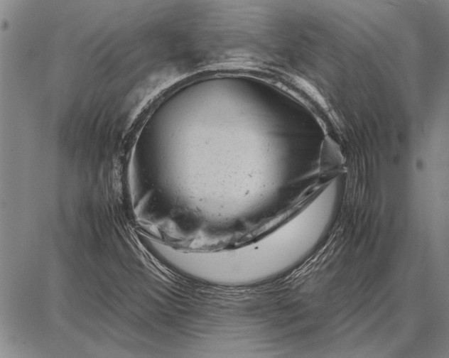 X0000087671356200705181654