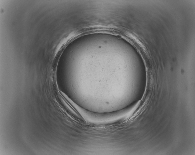 X0000087671357200705181654