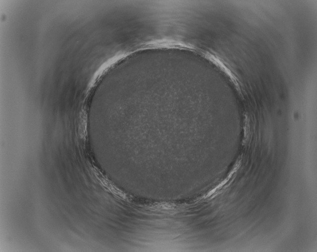 X0000087671358200705181654