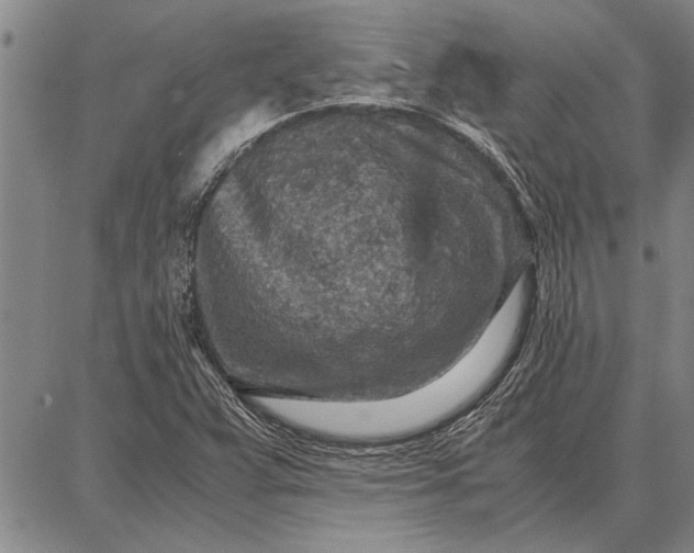 X0000087671359200705181654