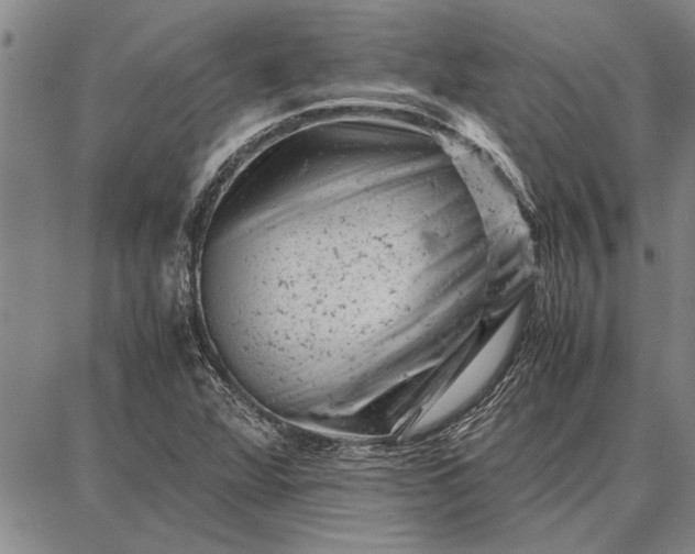 X0000087671360200705181654