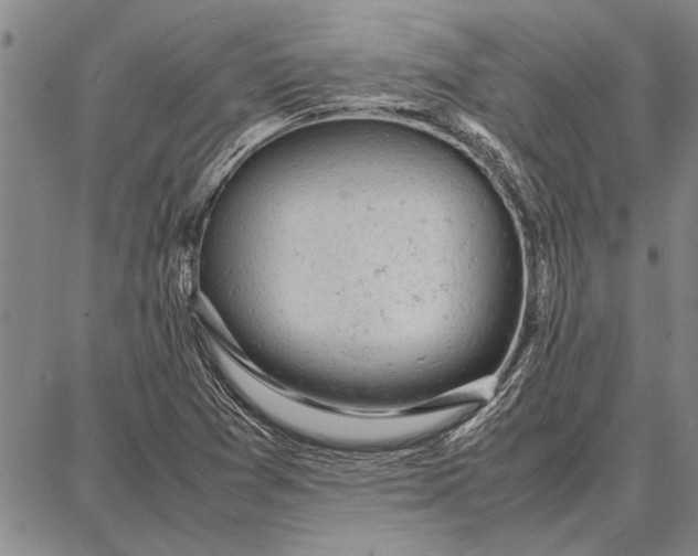 X0000087671361200705181654