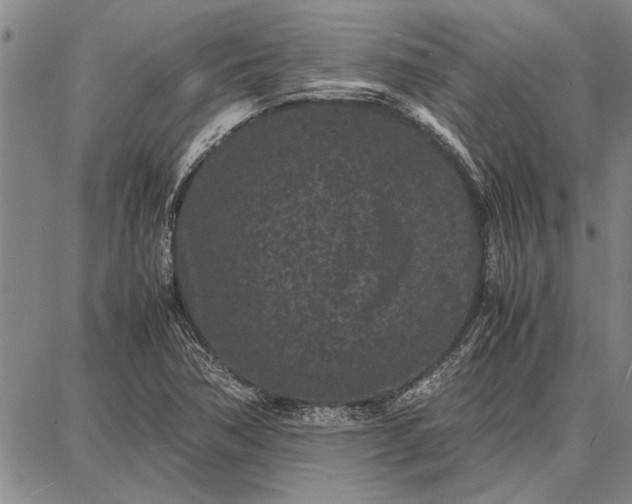 X0000087671362200705181654