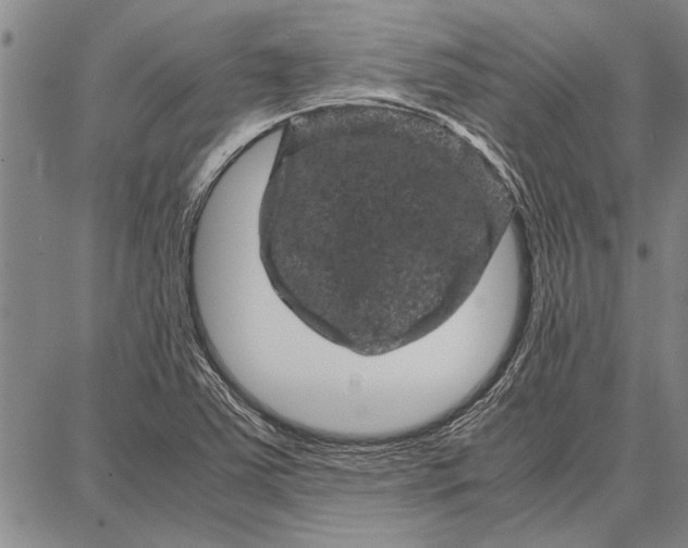 X0000087671363200705181654