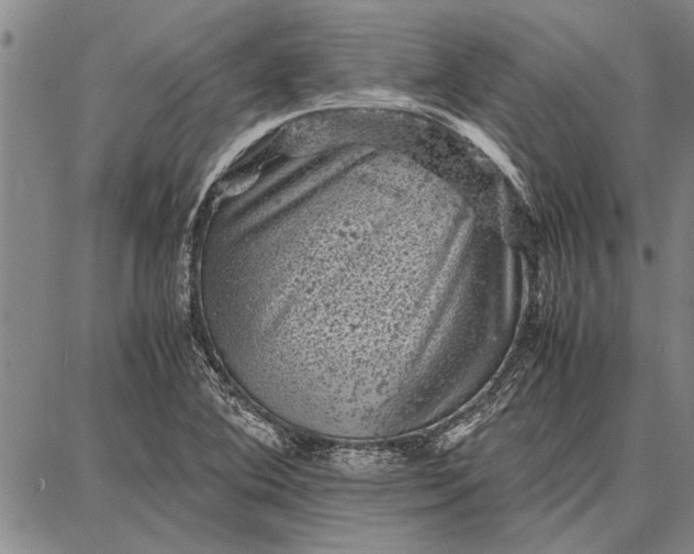 X0000087671364200705181654