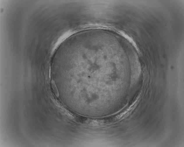 X0000087671365200705181654