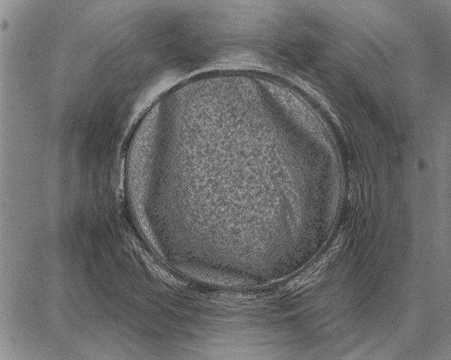 X0000087671366200705181654