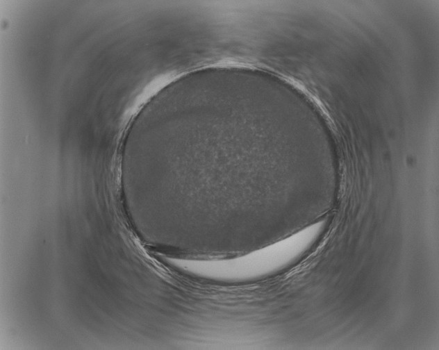 X0000087671367200705181654