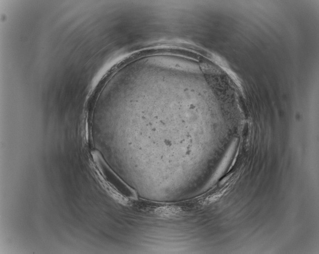 X0000087671368200705181654