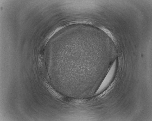 X0000087671369200705181654