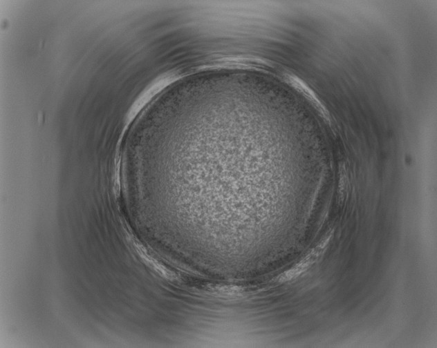 X0000087671370200705181654