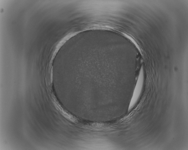 X0000087671371200705181654