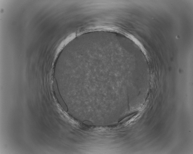 X0000087671373200705181654