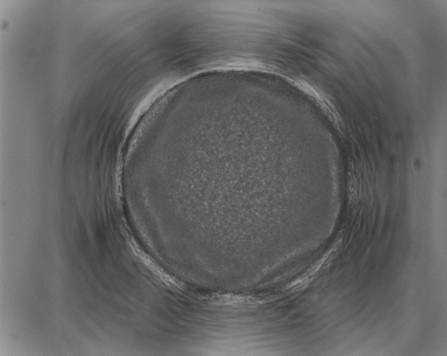 X0000087671374200705181654