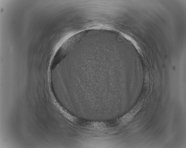 X0000087671375200705181654