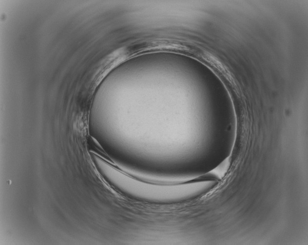 X0000087671377200705181654