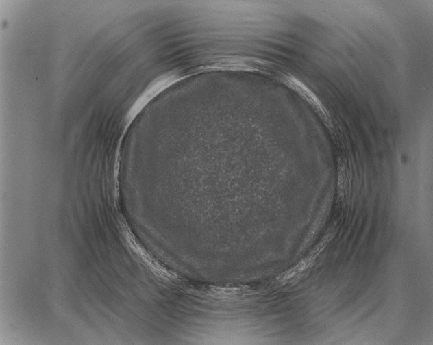 X0000087671378200705181654