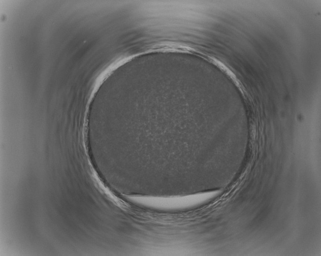 X0000087671379200705181654