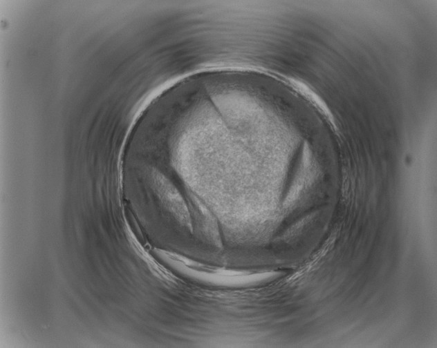 X0000087671380200705181654