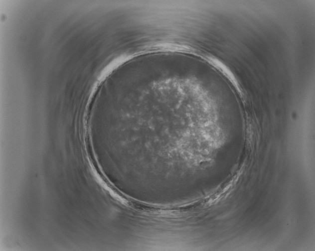 X0000087671381200705181654