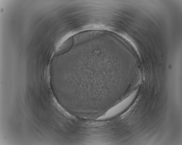 X0000087671382200705181654