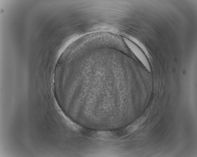 X0000087671383200705181654