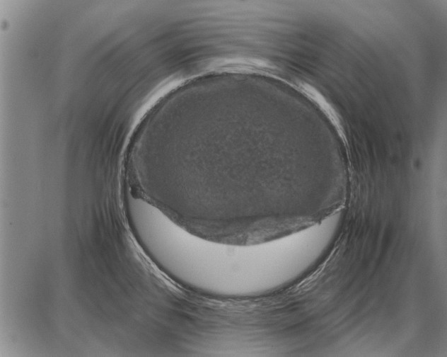 X0000087671384200705181654