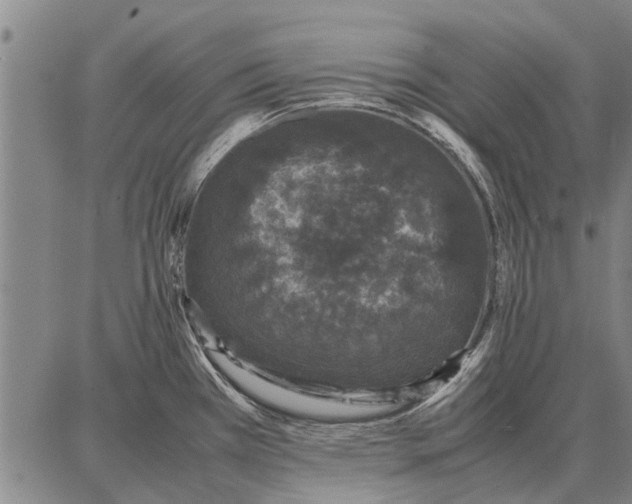 X0000087671385200705181654