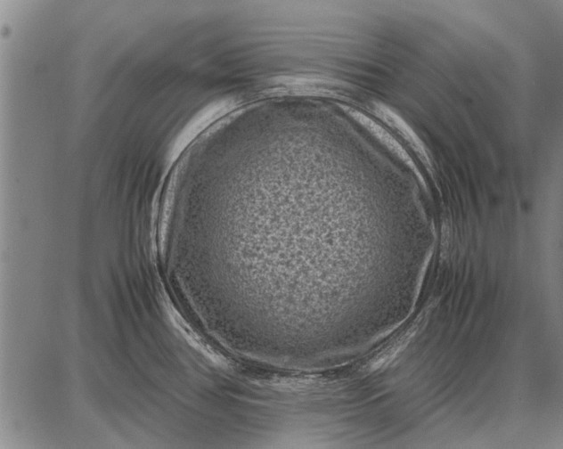 X0000087671386200705181654