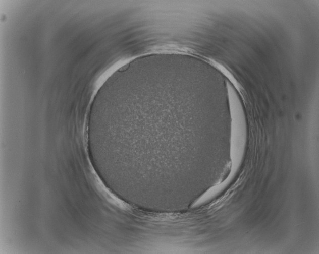 X0000087671387200705181654