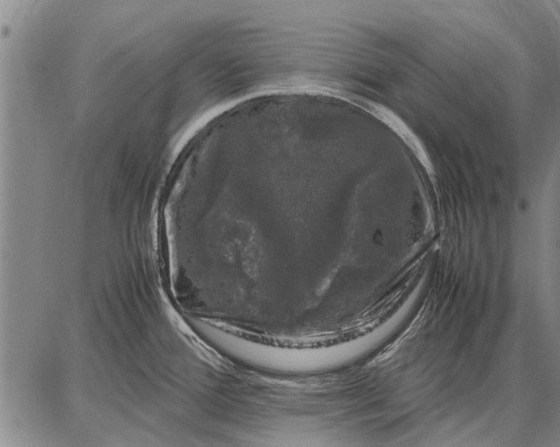 X0000087671388200705181654