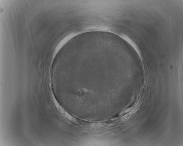 X0000087671389200705181654