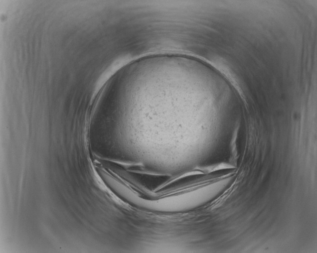 X0000087671390200705181654