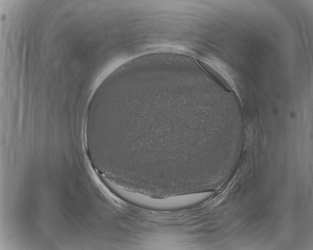 X0000087671391200705181654