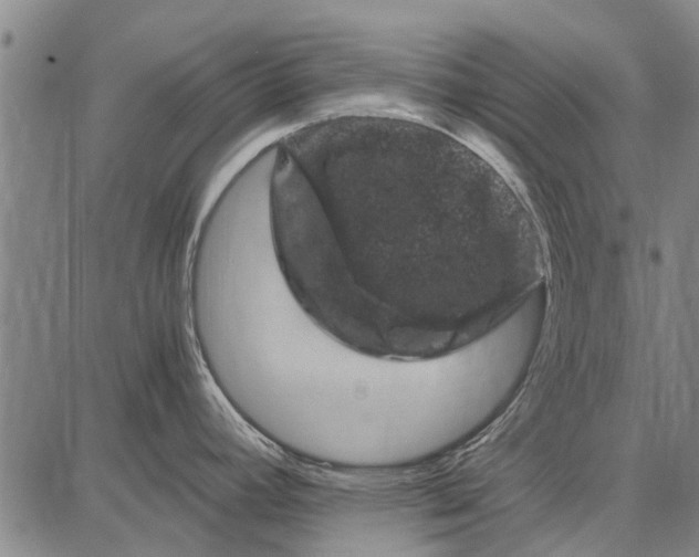 X0000087671392200705181654